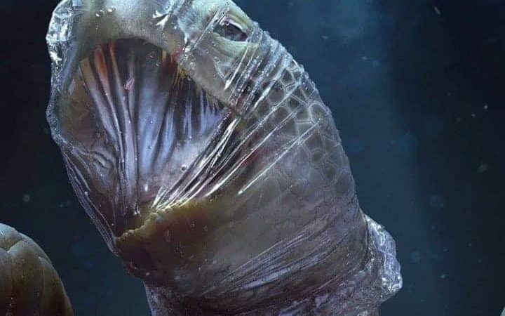 Petizione Permettiamo ai pescatori di pulire il mare