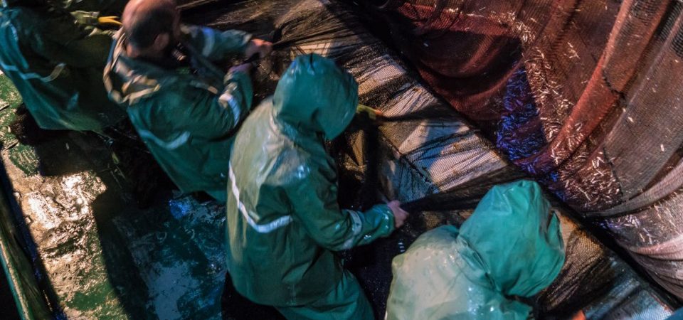 The state of Mediterranean Sea and Black Sea Fisheries