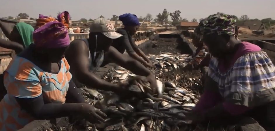 Video Documentario – Senegal: i predatori del mare