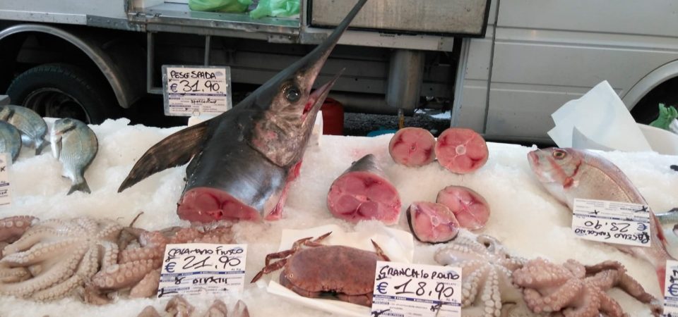 MUTO COME UN PESCE