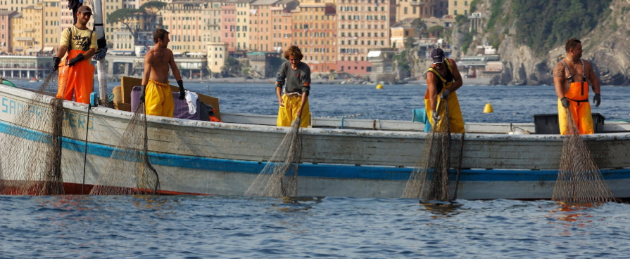 IL PESCE una risorsa da rispettare e daMARE