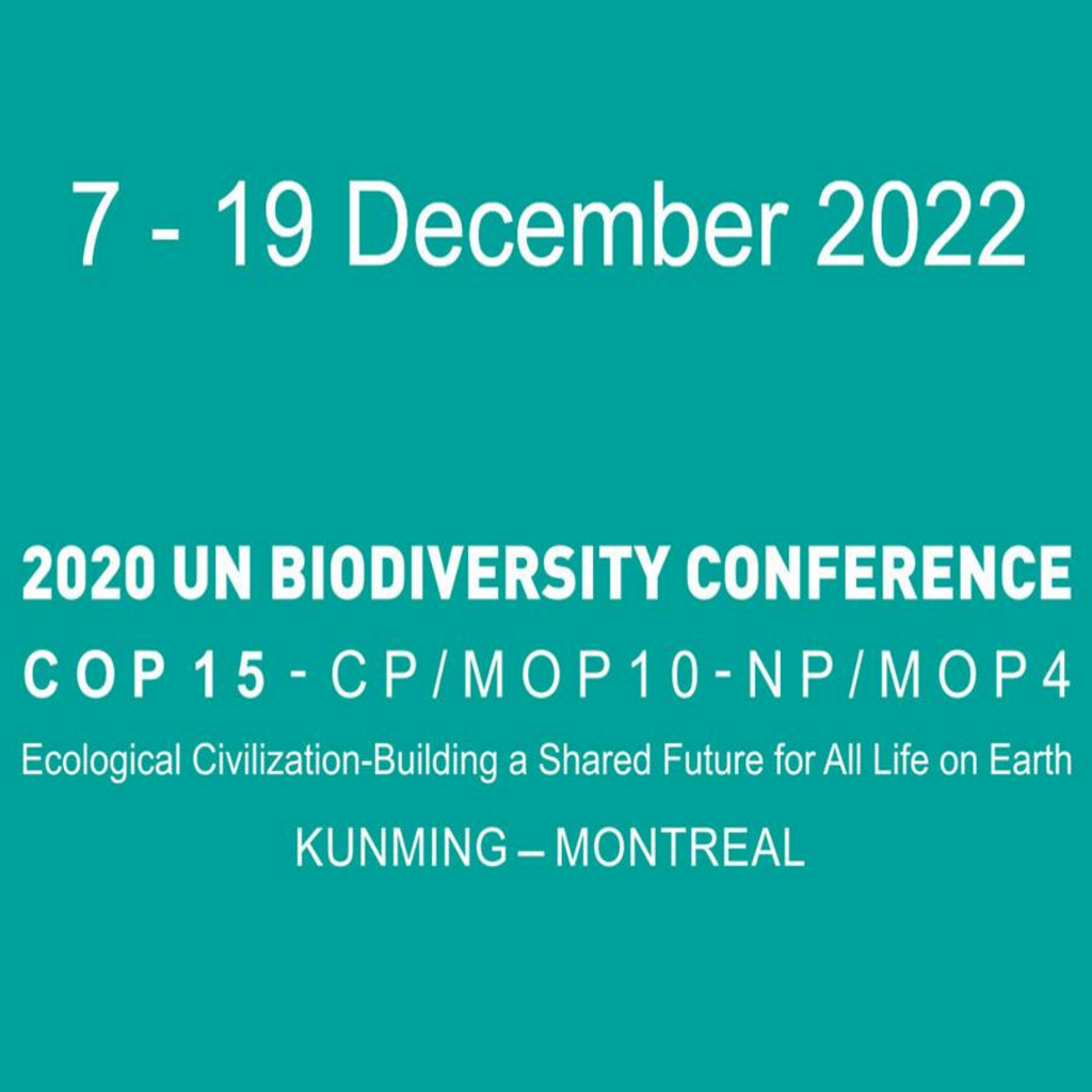 COP15 in Montreal – Get us a strong deal for biodiversity and ocean ...